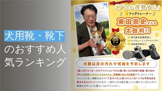 🌵犬用靴・靴下のおすすめ人気ランキング9選