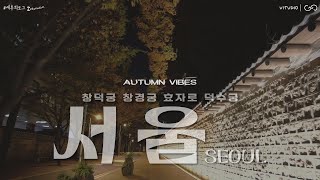 서울의 고즈넉한 가을 Seoul (창덕궁, 창경궁, 덕수궁, 효자로 가을단풍길) | #에투븨로그_interactive : Autumn Vibes