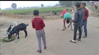 Indian Village Life  || Real Life in Indian Village || Indian Real Village