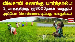 விவசாயி கணக்கு பார்த்தால்..! 3 மாதத்திற்கு ரூ8000தான் வருது..! அப்போ கொள்ளையடிப்பது யாருங்க..!