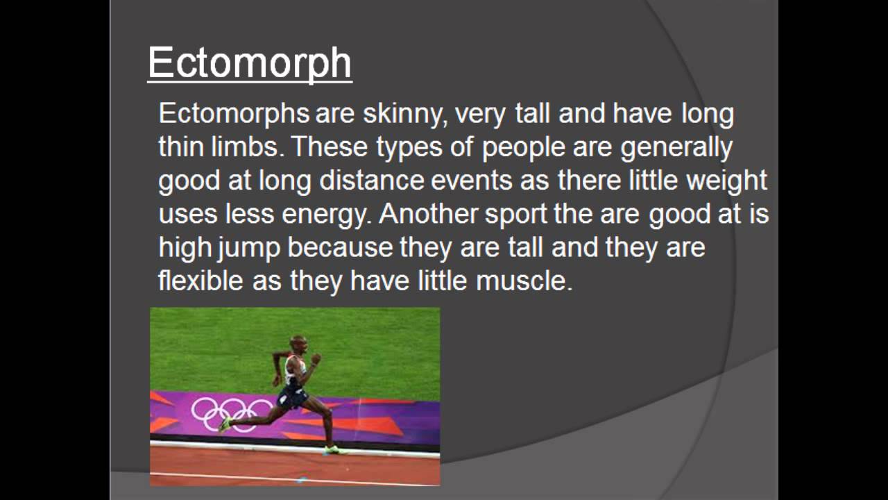 Somatotypes Youtube