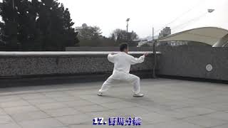 陳式太極拳基礎32式教學示範影片 CHEN Style TaiChi Quan 32 performed