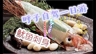 日本九州呼子一日游！海底餐厅吃透明鱿鱼刺身