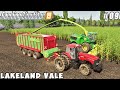 Sowing soybeans, harvesting corn silage | Lakeland Vale 2 | Farming simulator 19 | Timelapse #09