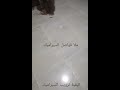 ملأ فواصل السيراميك بالاسمنت الأبيض سهل جدا