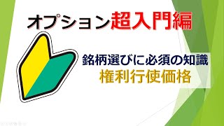 オプション取引【超入門編】権利行使価格について