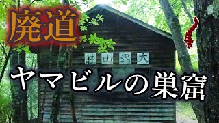 大沢岳➤兎岳 前編〔大沢渡ルート〕