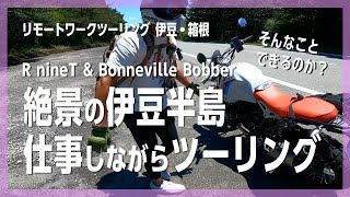 【伊豆スカイライン】BMWとtriumphで絶景ツーリング