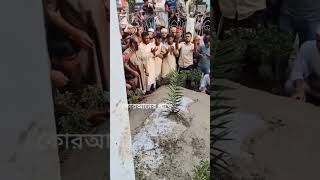 আন্তর্জাতিক খ্যাতিসম্পন্ন বিশিষ্ট ইসলামী চিন্তাবিদ মাওলানা দেলোয়ার হোসেন সাঈদীর করব,