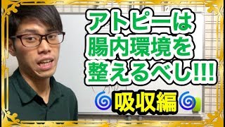 【アトピー】アトピー改善なら腸内環境を整える！吸収の働き編！