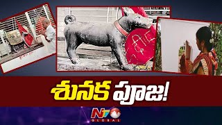 Dog Worship : ఉత్తర్‌ప్రదేశ్‌లోని ఓ బైరవుని ఆలయంలో శునక పూజలు | Ntv Global