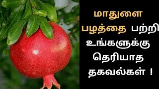 மாதுளை பழத்தை பற்றி தெரியாத தகவல்கள் - Health Benefits of Pomegranate in Tamil