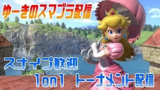 【スナイプ歓迎】スマブラSP【トーナメント配信】