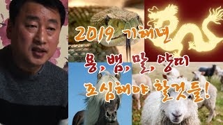 2019 기해년 용,뱀,말,양띠 분들 꼭 보세요 일해 철학원 일해법사