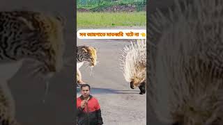 কোন জিনিসকে ছোট মনে করবেন না 👈 #viralvideo #funny #foryou #vlog #newsonganddancegirl #foryou #fbi