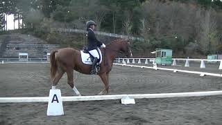 第5８回関東学生馬術女子競技大会　女子馬場馬術競技　デア・ポエット　梅田望結