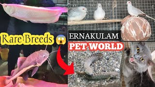 PET WORLD 🌍|| RARE BREEDS HERE 😱 || AT KERALA ❤️#kerala #ernakulam #expressmotovlog