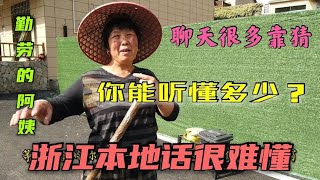 上海话和诸暨话区别大吗？听这位阿姨的浙江本地话，能听懂多少？