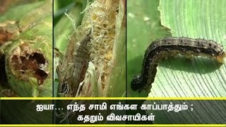 ஐயா… எந்த சாமி எங்கள காப்பாத்தும் ; கதறும் விவசாயிகள்