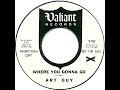 Art Guy - Where You Gonna Go (1967, Garage Rock - FAN REMASTER)