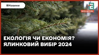 Жива чи штучна: у скільки цьогоріч обійдеться ялинка?