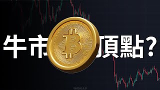 牛市頂點？該賣嗎? 馬斯克領導的政府效率部門計劃使用區塊鏈技術。#比特幣 #btc #加密貨幣 #區塊鏈