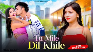Tum Mile Dil Khile || Stebin Ben, Asees Kaur || Cute Love Story || New Hindi Song 2023