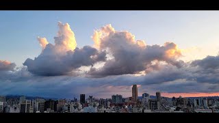 輕談國學歌風雅 夏夜傾情 天光雲影 且行且珍惜  台北夜景 2022-08-07