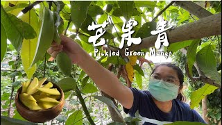 醃漬文化 — 青芒果做芒果青！情人果 ｜Homemade  ｜ countryside life ｜Pickled Green Mango 【刻夢kedream】