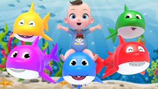 Color Shark Song! | Learn Color Baby shark Nursery Rhymes | Baby & Kids Songs
