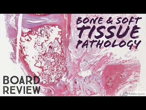 Bone & Soft Tissue Pathology Board Review: 20 Classic Cases (McGill ...