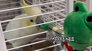 김유정이 데려온 개구리 🐸