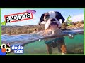 Grumpy Dog Took Our Socks And Towels…But Why??? | Dodo Kids | Bad Boys & Girls