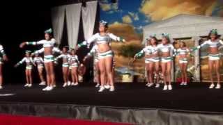 Ellenwood allstars Senior 1!!