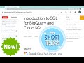[NEW 2023] Introduction to SQL for BigQuery and Cloud SQL  #qwiklabs | #GSP281 [With Explanation🗣️]