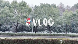 Fatbeaver日常生活 | VLOG 上海下雪 宠物店 Shanghai Snow