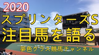 【注目馬を語る】2020スプリンターズステークス！好メンバーの揃った中山スプリント決戦！6頭ご紹介