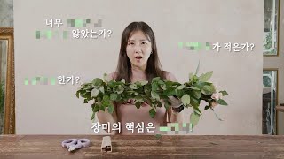 이것을 안다면 좋은 장미를 구할 수 있습니다! 장미 컨디셔닝 방법 |  장미 고르는 법