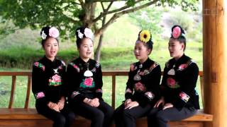 Hmub Folk Song 春之歌