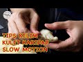 TIPS | CARA KELIM KULIT KARIPAP DALAM SLOW MOTION