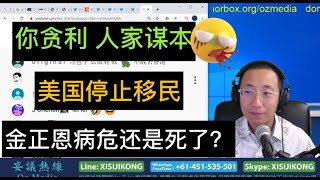 妄议热线455期 2020年4月21日 传金正恩病危去世，原油暴跌到负值，美国停止移民