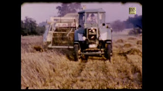 Getreideernte 1960 in der Lüneburger Heide - Historischer Film - Claas Mähdrescher- Bulldog - Pferde