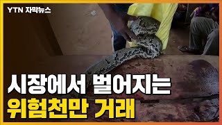 [자막뉴스] 아직도...시장에서 벌어지는 '위험천만' 거래 / YTN