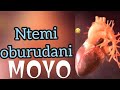 Ntemi oburudani_MOYO_offcal audio