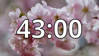 43 Minutes Timer with Music | Cherry Blossom Timer