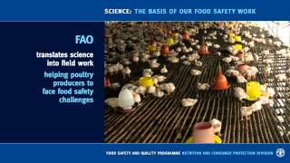 Science: the basis of FAO food safety work