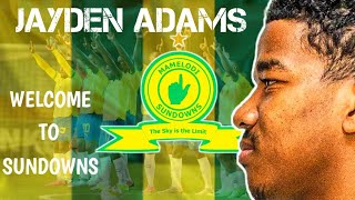 Jayden Adams is yellow!! How he will fit into Sundowns potential lineup