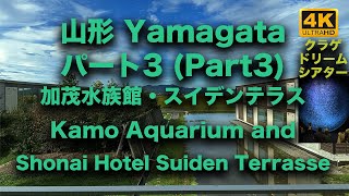 Kamo Aquarium and Shonai Hotel Suiden Terrasse 加茂水族館（クラゲ）・ショーナイホテル・スイデンテラス （幻想的なクラゲと美しいホテル）No.103