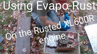 Using Evapo-Rust on the Rusted XL600R engine
