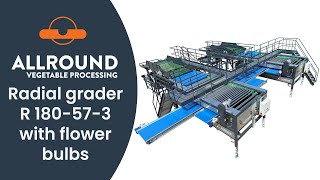 Radial grader R 180-57-3 with flower bulbs | JON | Netherlands | Allround Vegetable Processing